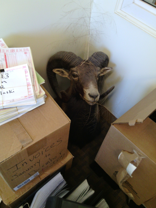 A stranger in my own house!