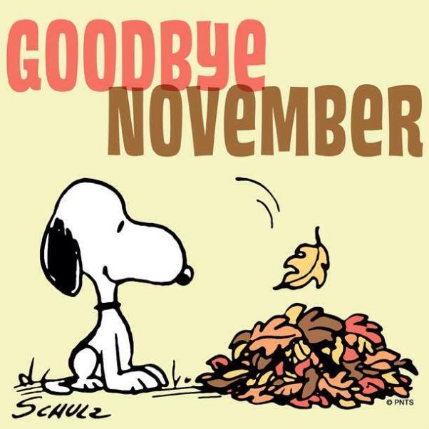 Month in rewind: November 2014