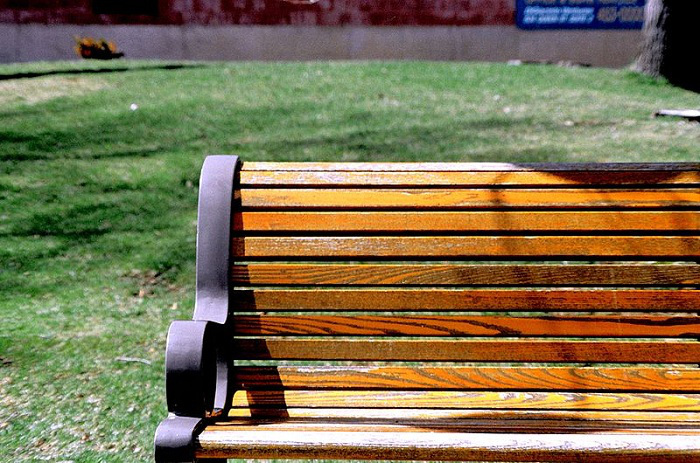 A bench in the park