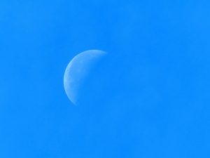 out of the blue