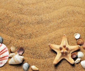 #WednesdayVerses : Those summer days