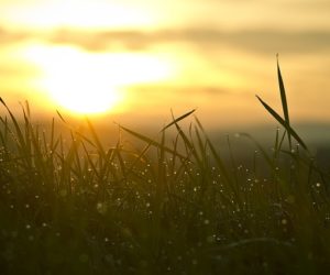 #WednesdayVerses : A fresh start