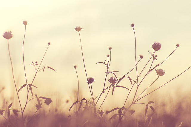 summer